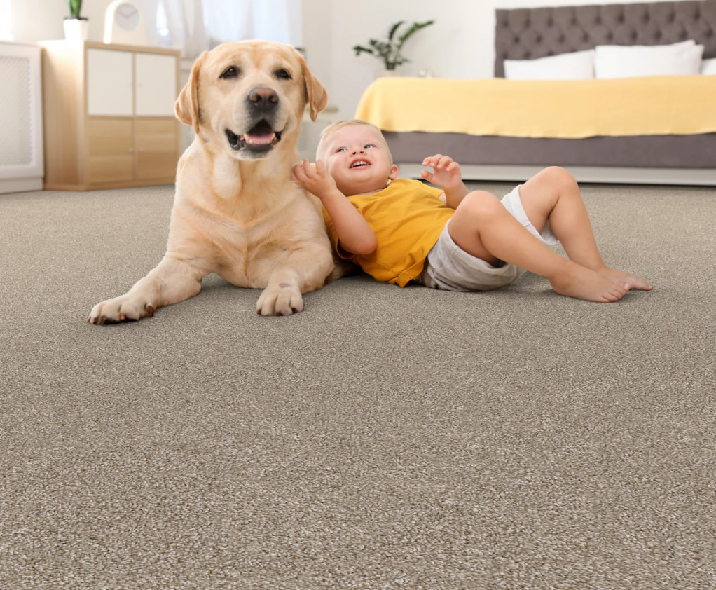 Carpet cleaning by Granbury Carpet Cleaning