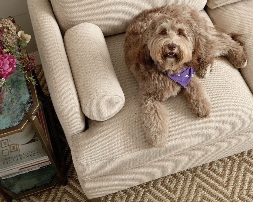 Granbury Upholstery Cleaning