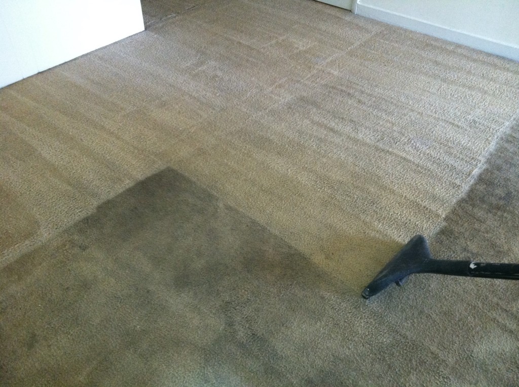 Carpet cleaning by Granbury Carpet Cleaning.