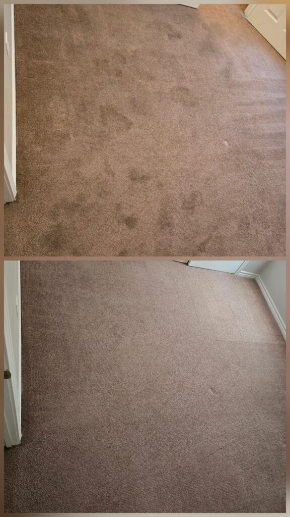 Carpet Cleaning Before and After by Granbury Carpet Cleaning.